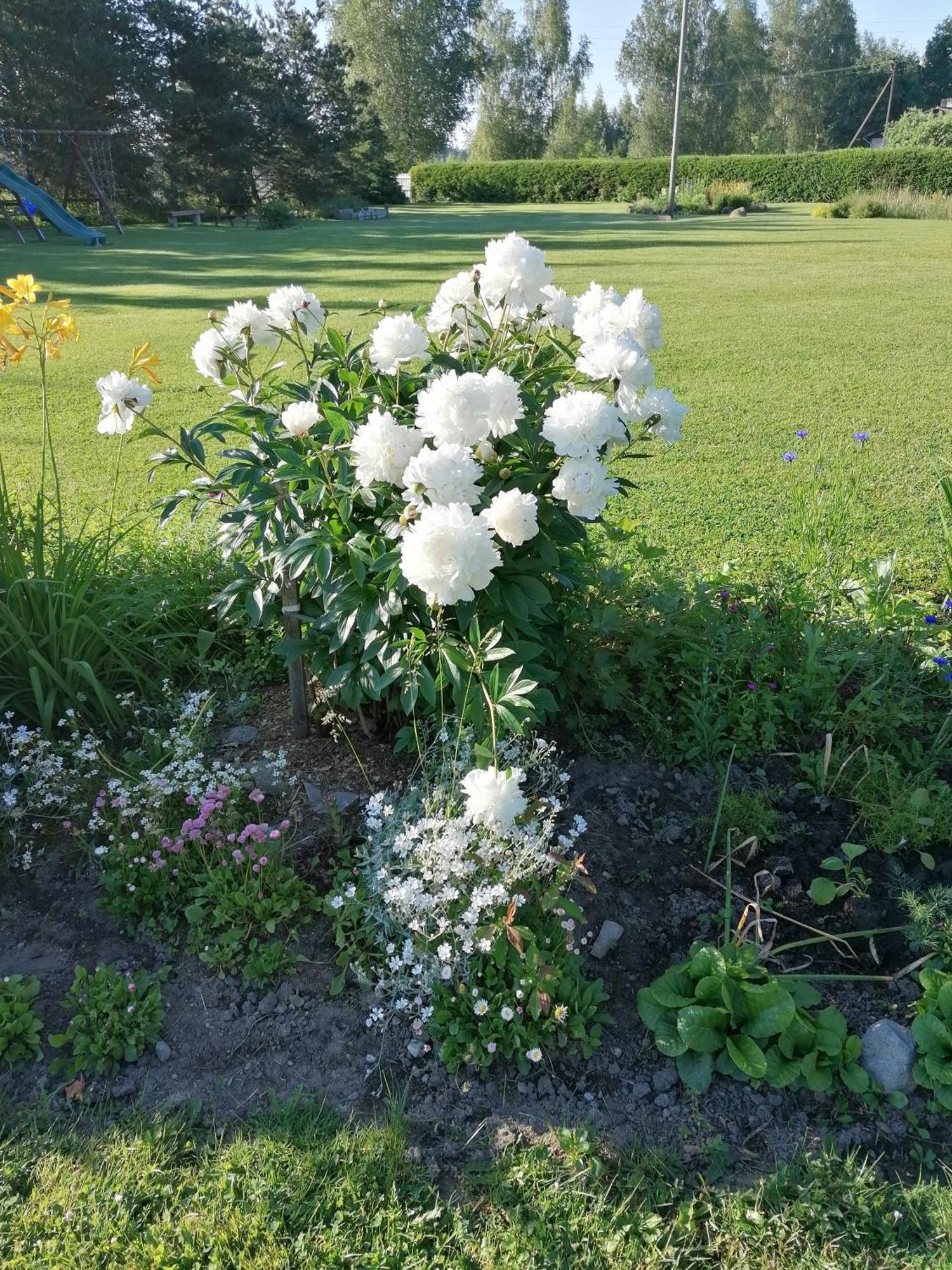Villa River Rose Jõesuu Dış mekan fotoğraf